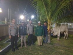 Kapolda Sulteng, Serahkan Hewan Kurban Untuk Warga Kampung Mualaf Padende 