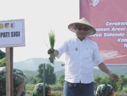 Pemkab Sigi, Laksanakan Gerakan Tanam Perluasan Areal Tanam Padi Sawah