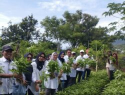 Cegah Stunting, Distanhorbun Sigi Programkan P2L 