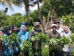 Turunkan Stunting, Distanhorbun Sigi Dorong Pemanfaatan Lahan Pekarangan 