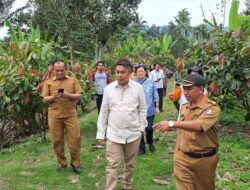 Fachri Dorong Hilirisasi Produk Kakao Berbasis Desa