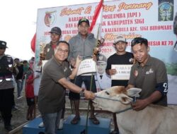 Lomba karapan sapi jadi program daerah sigi