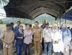 Bupati Sigi, pentingnya program bantuan dalam meningkatkan kesejahteraan petani