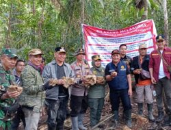 Polres Sigi Tangkap Pelaku PETI di Lindu