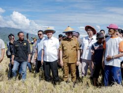 Pemkab Sigi Dukung Swasembada dan Ketahanan Pangan di Sulteng