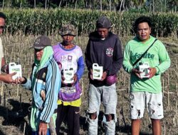 Dukung Ketahanan Pangan, Dr.Sarifuddin Sudding, SH.MH Berikan Bantuan Pupuk Cair Organik