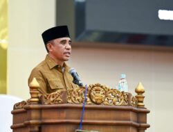 Pendapatan Sulteng Melejit, Pertumbuhan Ekonomi dan Hilirisasi Pemicunya