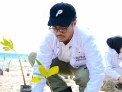 Rembuk Pemuda Sulteng Tanam 70.000 Mangrove, Fathur Razaq: Ini Sedekah Kita Untuk Alam