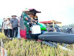 Hadiri Panen Raya Padi di Sibalaya, Gubernur Sulteng Dukung Sigi Jadi Lumbung Pangan Pertanian