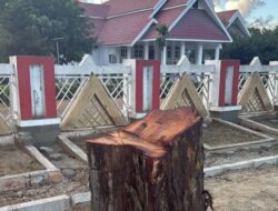Pohon Peneduh Depan Rujab Ditebang, Gubernur Anwar Hafid Instruksikan Cari Pelakunya