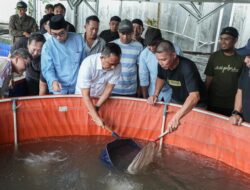 Gubernur Anwar Hafid Perluas Program Berani Tangkap Banyak, Budidaya Ikan Jadi Andalan Ekonomi Baru