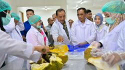 Gubernur Sulteng Resmikan Rumah Produksi Durian PT Pondok Durian Sulawesi