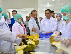 Gubernur Sulteng Resmikan Rumah Produksi Durian PT Pondok Durian Sulawesi
