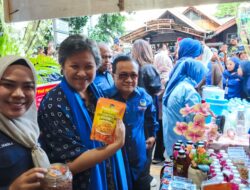 Anggota DPRD Sigi Irma Yangka, Apresiasi Pelaksanaan Rakerwil Partai NasDem Sulteng