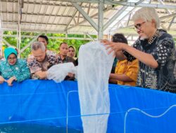 Pemkab Sigi Bersama PKK Cegah Stunting Lewat Kolam Bioflok