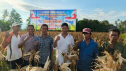 Kelompok Tani Kompas Loru Usulkan Bantuan Pembangunan Drainase dan Waduk Penampung Air