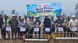 Bupati Sigi Tanam Padi Perdana di Desa Olu