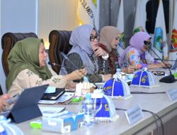 Wagub Reny Minta Pusat Perkuat Layanan Kesehatan Sulteng