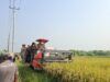 Pemkab Sigi Dorong Kembangkan Penangkaran Benih Padi Lokal