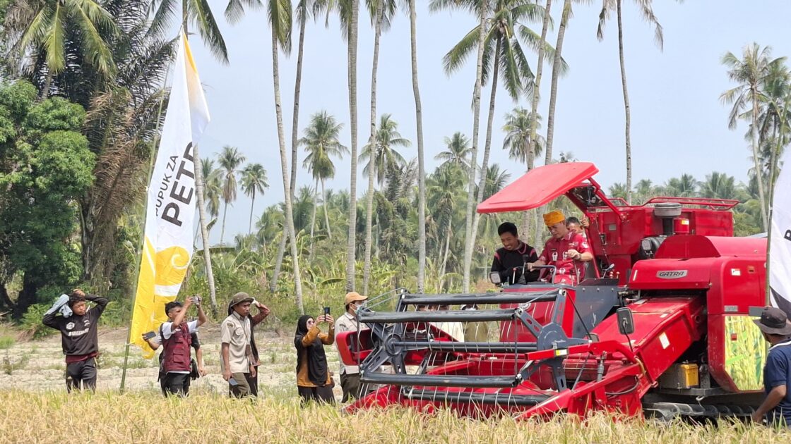 Metode PM-AAS Dapat Tingkatkan Produktifitas Padi di Sigi