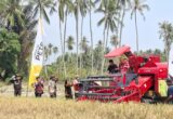 Metode PM-AAS Dapat Tingkatkan Produktifitas Padi di Sigi