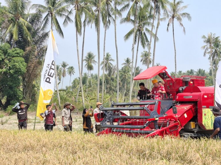 Metode PM-AAS Dapat Tingkatkan Produktifitas Padi di Sigi